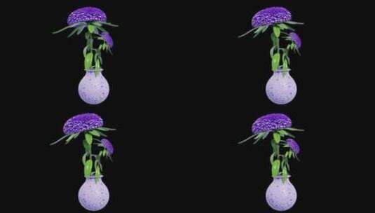 宇宙的花瓣：紫水晶花的3D动画|阿尔法频高清在线视频素材下载