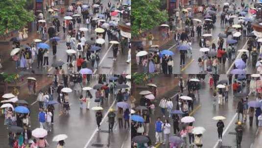 下雨天街道撑伞人群下雨天人群雨伞高清在线视频素材下载