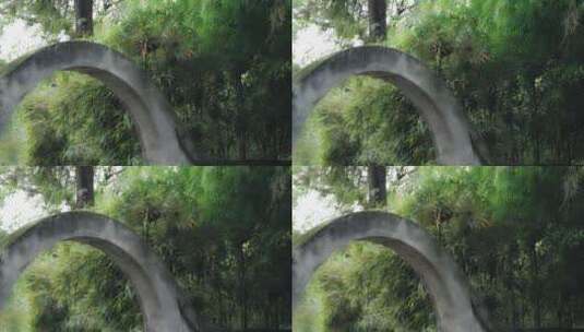 中国重庆市鹅岭公园园林景观高清在线视频素材下载