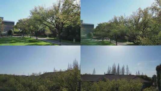 苏州大学草坪航拍（上升变角度）高清在线视频素材下载