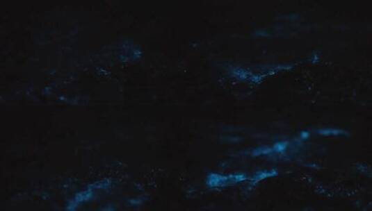 海萤 浮游 荧光海高清在线视频素材下载