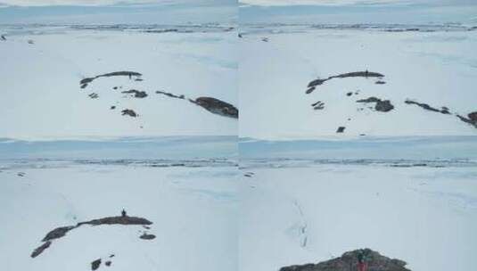 南极雪山斜坡上的旅游迅猎兽高清在线视频素材下载