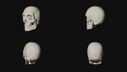 3d渲染骷髅动画高清在线视频素材下载