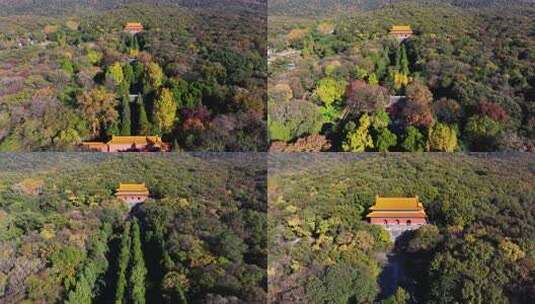 南京秋天 明孝陵 紫金山 钟山风景区高清在线视频素材下载