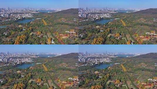 江苏南京灵山风景区前湖秋天秋色航拍高清在线视频素材下载