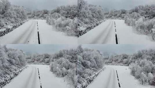 西岭雪山 雪景 大雪覆盖的自然风光 航拍高清在线视频素材下载