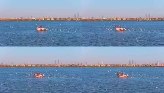 航拍滇池游船与海鸥高清在线视频素材下载