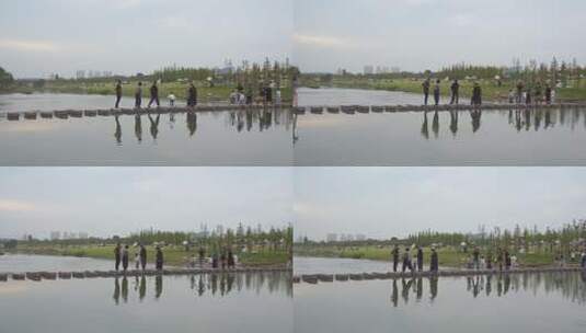 相机高清摄柏临河湿地公园南岸17高清在线视频素材下载