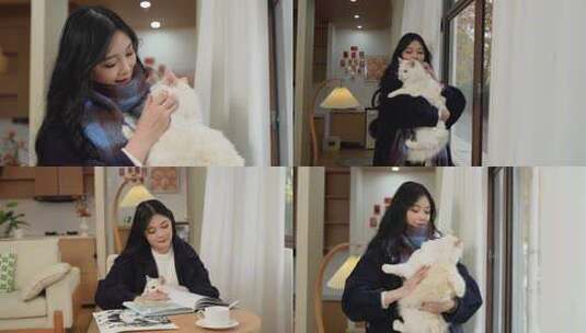 独居女生和猫猫温馨美好生活高清在线视频素材下载