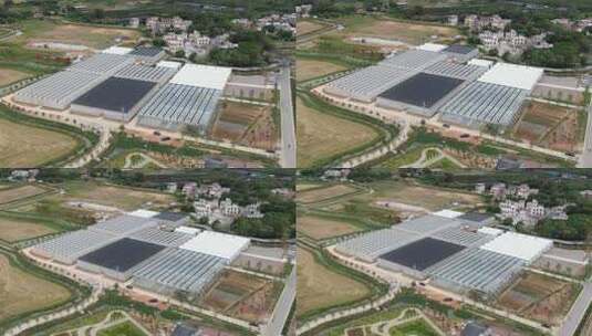 农业大棚航拍全景高清在线视频素材下载