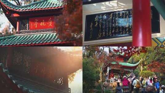 长沙爱晚亭秋景红枫高清在线视频素材下载