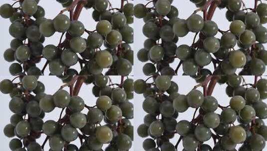 绿葡萄微距特写素材高清在线视频素材下载