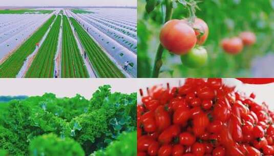 4K蔬菜水果混剪高清在线视频素材下载