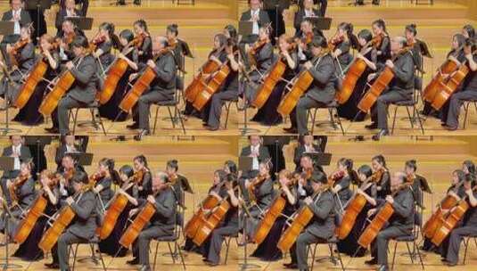 乐团演奏大提琴音乐会素材高清在线视频素材下载