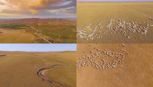 草原河流自然风光牛羊航拍合集高清在线视频素材下载