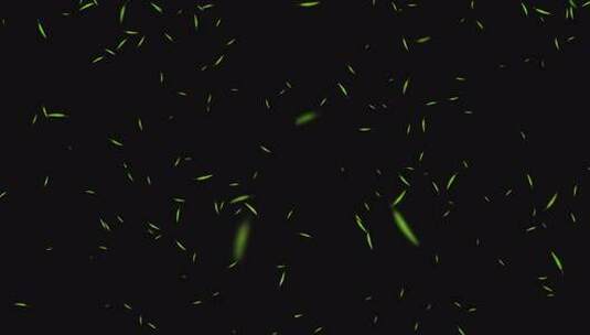 竹叶飘落带通道高清在线视频素材下载