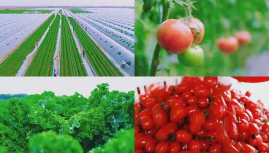 高清蔬菜水果混剪高清在线视频素材下载