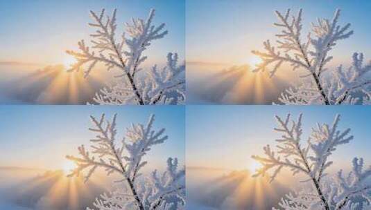 航拍唯美冰雪雾凇景观4K高清在线视频素材下载