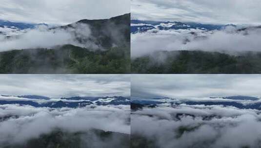 川西王岗坪景区航拍云海雪山壮丽风光高清在线视频素材下载