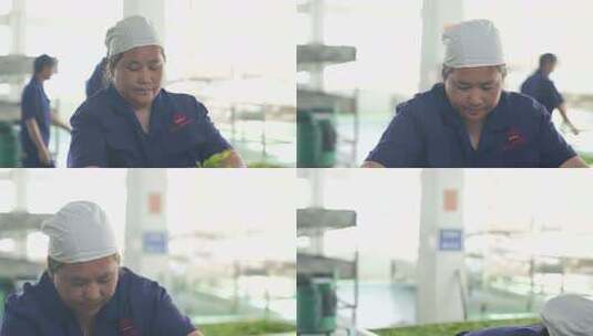 工厂工人作业场景高清在线视频素材下载