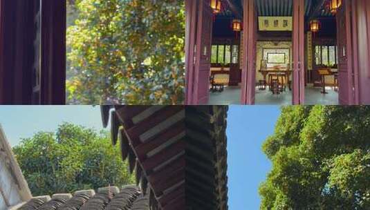 苏州园林可园桂花拍摄10镜组合高清在线视频素材下载