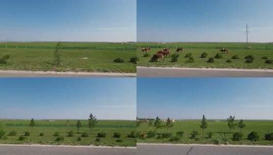 公路旁草原风光高清在线视频素材下载
