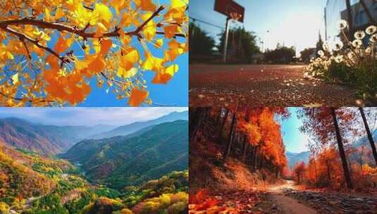 我们的时光-赵雷高清在线视频素材下载