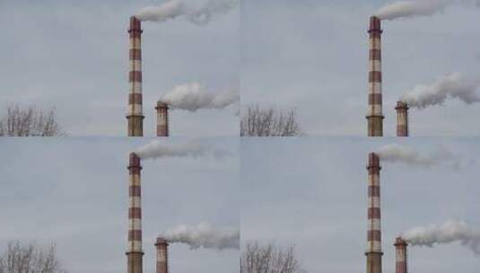 烟囱冒烟树枝枯枝鸟寒冷灰蓝色调高清在线视频素材下载