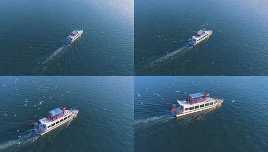 航拍滇池游船与海鸥高清在线视频素材下载