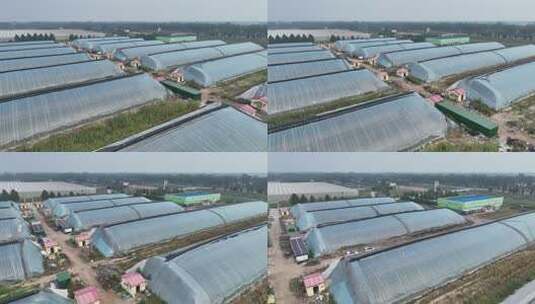 田园蔬菜大棚俯拍全景高清在线视频素材下载