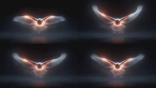 光芒四射的飞鹰象征希望与自由高清在线视频素材下载