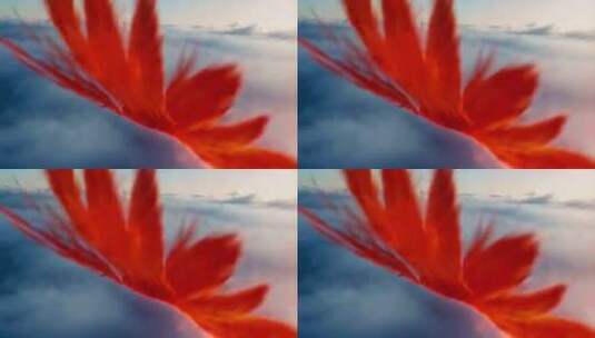 空中飘动的红色绸带高清在线视频素材下载