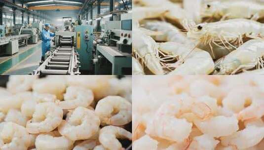 工厂工人操作虾加工高清在线视频素材下载