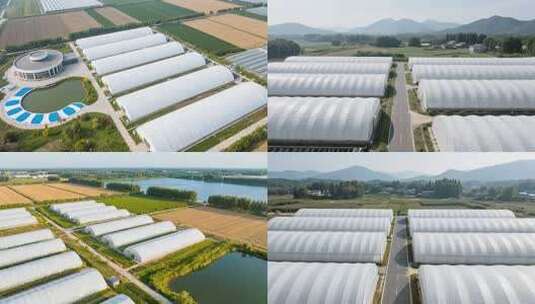农田蔬菜大棚鸟瞰全景高清在线视频素材下载