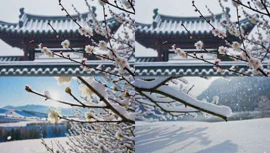 冬日寒梅古建筑雪景高清在线视频素材下载