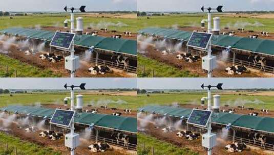 农场奶牛养殖及环境监测设备高清在线视频素材下载
