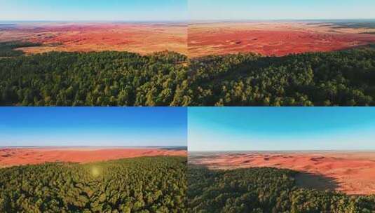 森林与红色荒漠鸟瞰全景高清在线视频素材下载