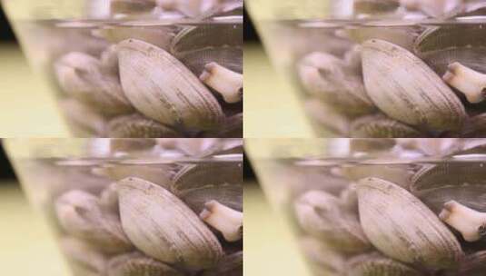 花蛤文蛤蛤蜊小海鲜 (2)高清在线视频素材下载