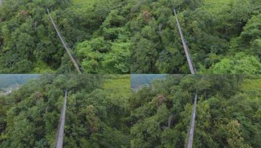 航拍户外活动森林里吊桥高清在线视频素材下载