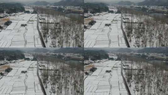 航拍南方冬天雪景高清在线视频素材下载