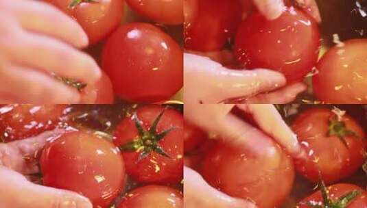 一盆清水浸泡清洗西红柿高清在线视频素材下载