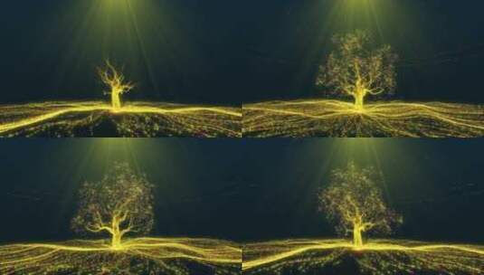 l粒子树V05.1高清在线视频素材下载