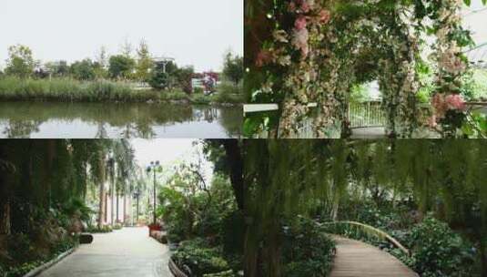 公园 花园 热带植物园高清在线视频素材下载