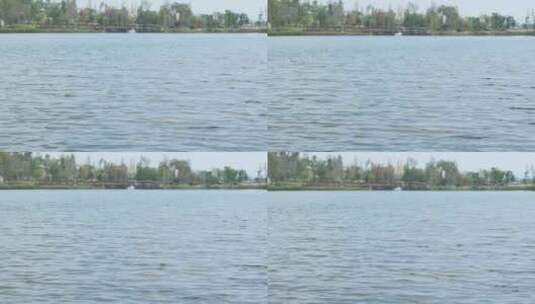 湖面 水波 水波纹高清在线视频素材下载