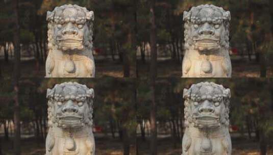 明十三陵神路石像生石狮子延时高清在线视频素材下载