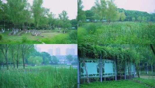 武汉洪山西苑公园4K视频合集高清在线视频素材下载