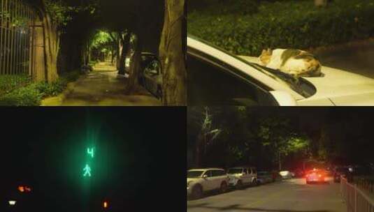 二月 广州番禺凌晨街道·猫·红绿灯·车高清在线视频素材下载