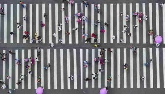 城市街道 斑马线 人来人往 人流量 上班族高清在线视频素材下载