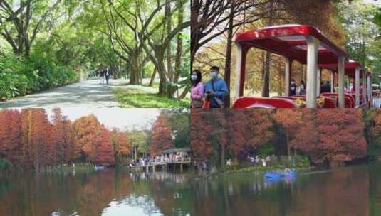 广州天河华南植物园人们游玩合集高清在线视频素材下载