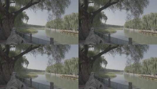 北京北海公园高清在线视频素材下载